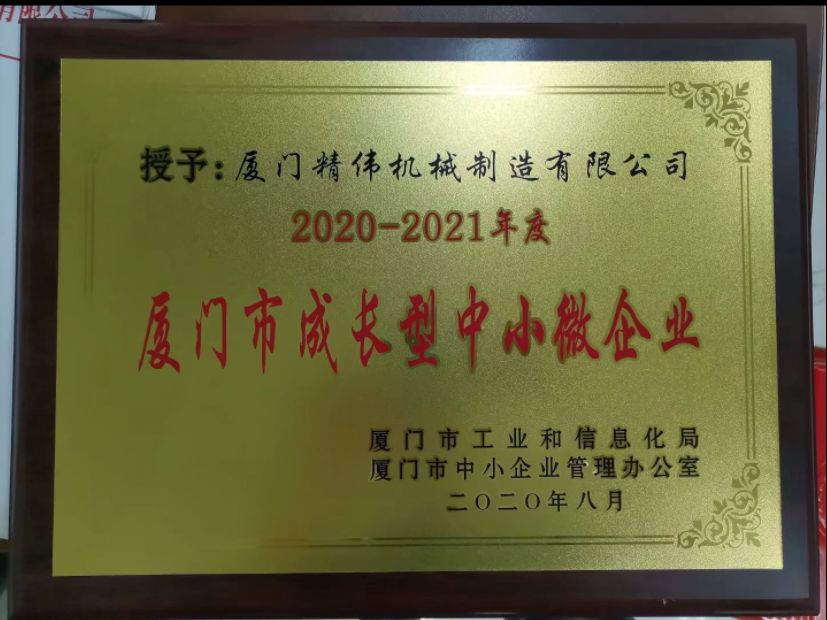 成(cheng)長型中(zhong)小微企(qi)業2020-2021